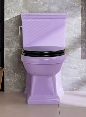 法式奶油风多巴胺紫色普通马桶家用创意美式彩色坐便器棕色个性