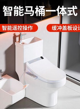 香港工艺带洗手盆智能马桶家用卫生间一体自动智能坐便器墙排坐厕