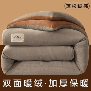 2025新款 加厚保暖棉被单人宿舍被芯冬被加绒被褥 牛奶绒被子冬季