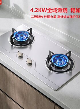 奇田（家电）JZT-A-D2-2G燃气灶天然气不锈钢台嵌两煤气灶液化气