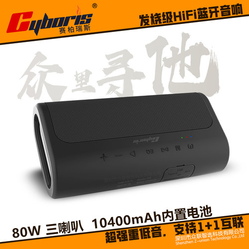 赛柏瑞斯中国充电80W蓝牙音响
