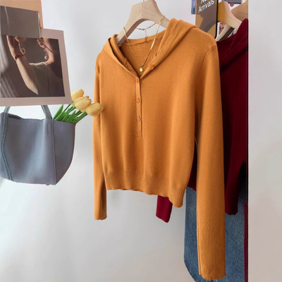 韩系内搭时尚连帽V领针织打底衫女春秋穿搭薄款毛衣修身短款上衣
