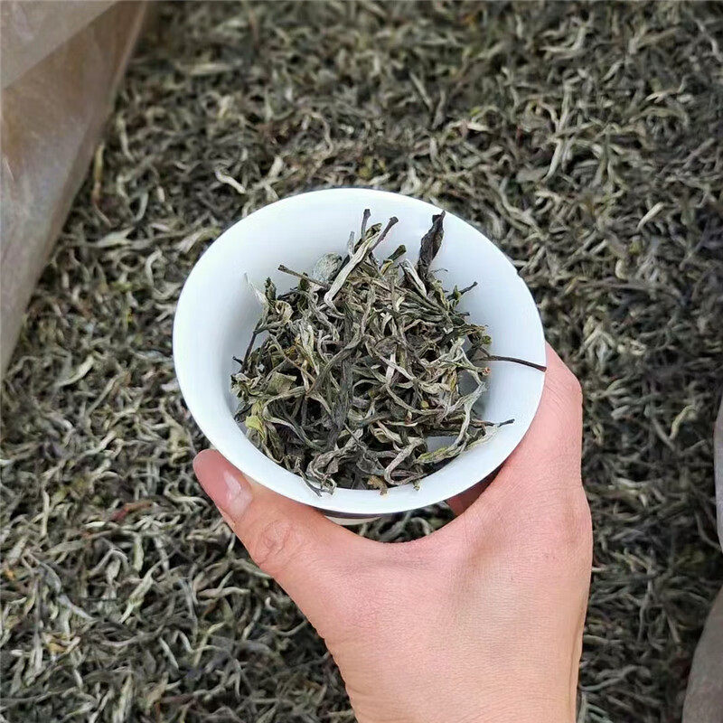 2025年临沧普洱茶头春生茶散茶