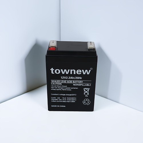 townew拓牛T1智能12V2.2AH蓄电池