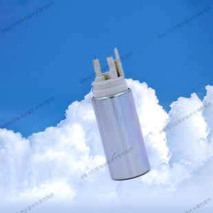 力帆跨骑摩托德尔福电喷系统外置泵泵芯供油燃油电机马达22号泵芯