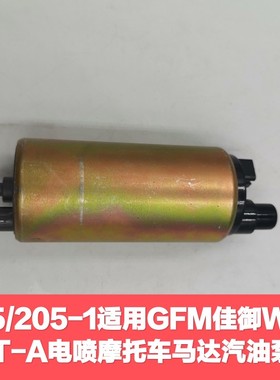 适用GFM佳御WH110T-A电喷摩托车马达汽油泵芯205/205-1