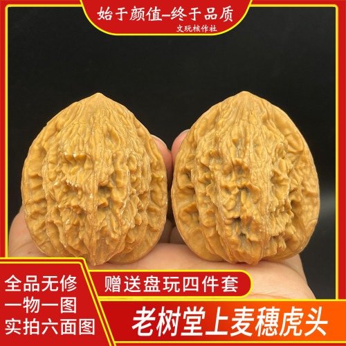 文玩一物一图老树堂上麦穗虎头