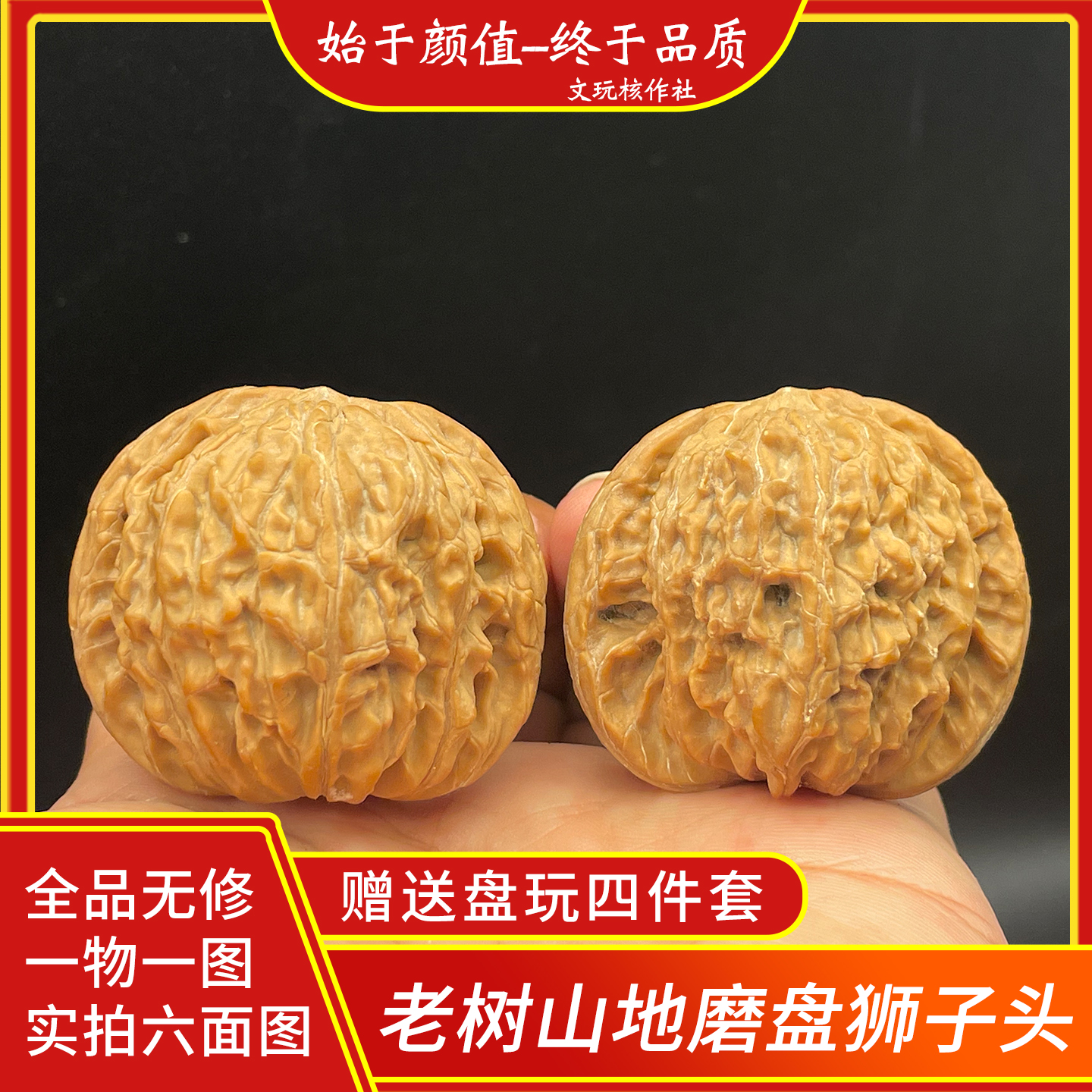 房山山地一代磨盘狮子头
