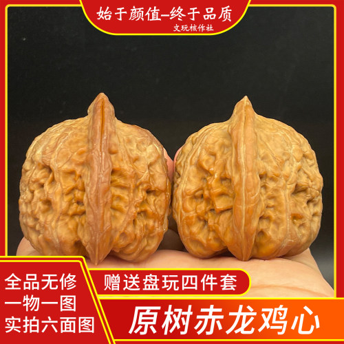 原树赤龙鸡心一物一图文玩核桃