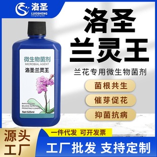 洛圣兰花专用肥兰灵王营养液君子兰蝴蝶兰石斛兰专用花肥活化剂