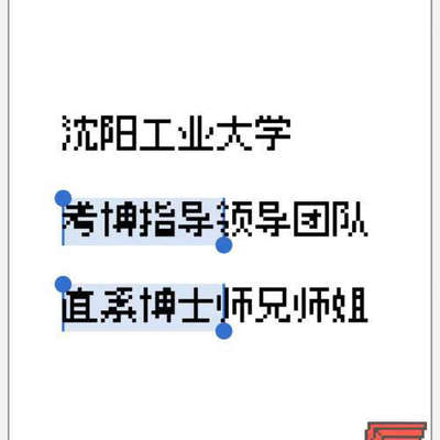 议价沈阳工业大学直系博士师姐带你备考&考博笔试面试指导&博士师