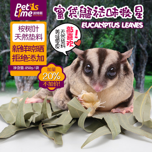 蜜袋鼬保暖除臭桉树叶木屑野外