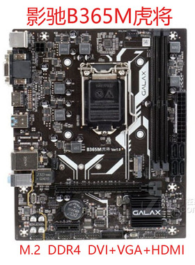 影驰B365M虎将/战将台式电脑主板1151针M.2固态接口支持8代9代CPU