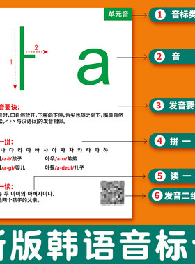 韩语音标卡四十音塑封大卡