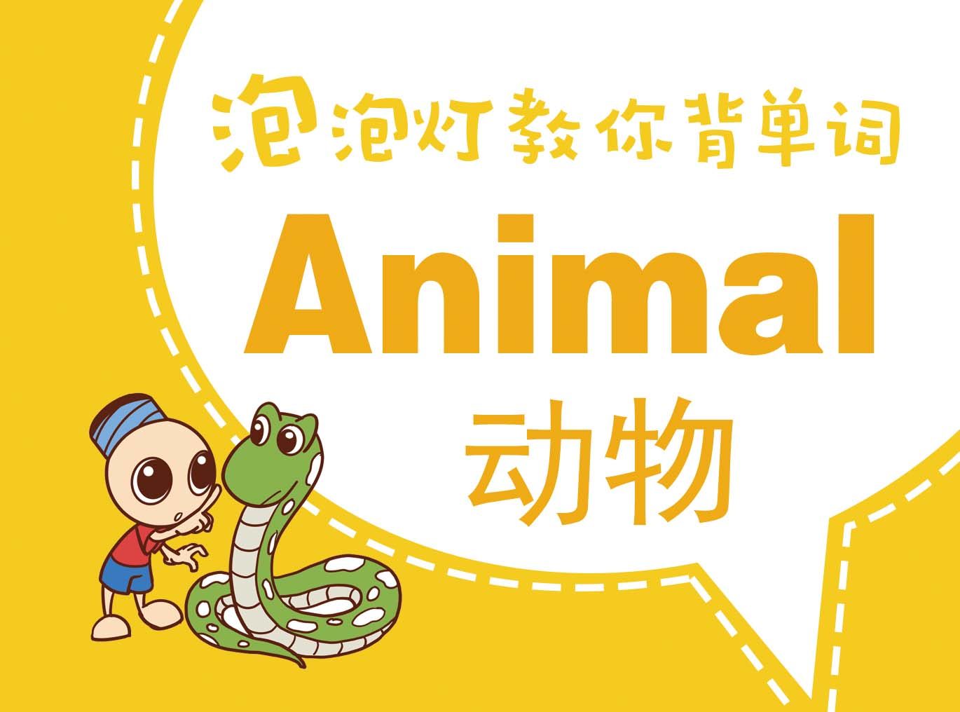 动物类少儿童英语单词汇卡片宝宝小学初中青少年彩色卡通早教卡