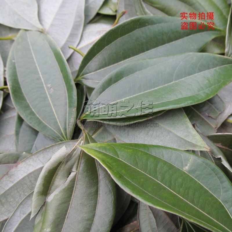 湖南省新化特产食品 鱼香叶 榆余香叶调味料 火锅配菜香料50g干货