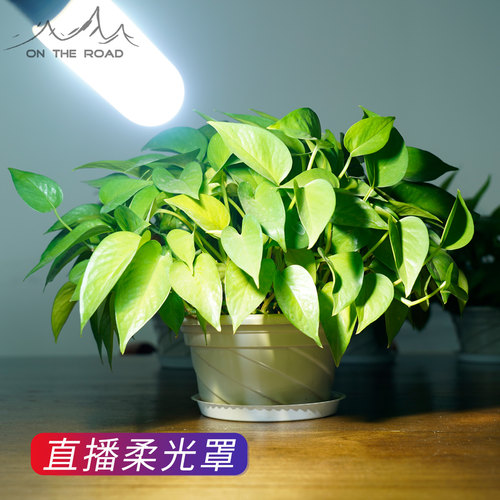 直播灯罩露营强光手电筒