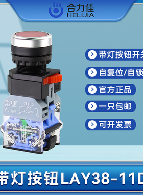 合力佳 带灯自复位LAY38-11D 11DN电源自锁DNZS按钮开关22mm 220V