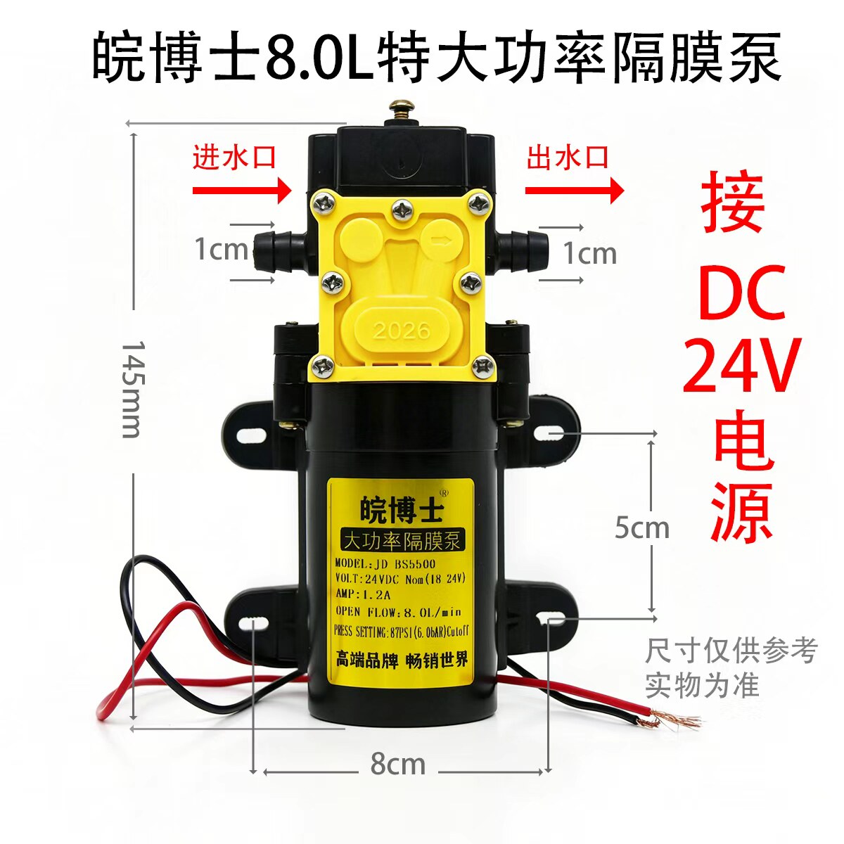 迷你小号小型微型直流隔膜水泵1水泵