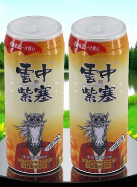 山西特产 大同云中紫塞沙棘汁果味饮料果汁960ml罐装整箱送礼饮品