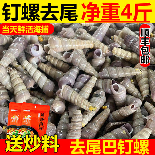 钉螺鲜活麻辣海鲜水产顺丰包邮