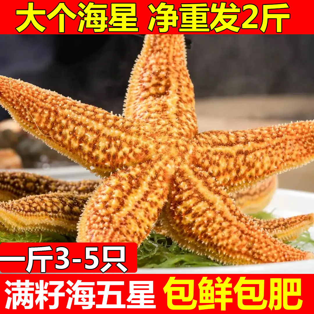 海星熟冻满籽海鲜可食用海五星