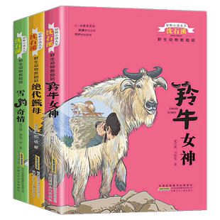 沈石溪动物小说系列野生动物救助站全套3册 羚羊女神/绝代熊母/雪豹奇情 7-10-12岁儿童文学读物 三四五六年级小学生课外阅读书籍