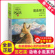 动物小说大王品藏书系小学生课外阅读经典 混血豺王沈石溪正版 完整版 社非注音版 书 小学四年级五年级全集全套书浙江少年儿童出版