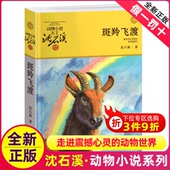 动物小说大王品藏书系小学生课外阅读适用经典 斑羚飞渡沈石溪正版 完整版 社版 书非注音 小学四年级五年级全集全套书浙江少年儿童出版