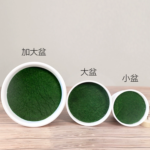 Моделирование растения бонсай зеленый пластиковый пластиковый маленький горшечный зеленый украшение поддельные зеленые растения поддельные цветы и пластины гостиная