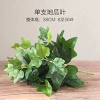 Одиночные листья сладкого картофеля (исключая горшки)