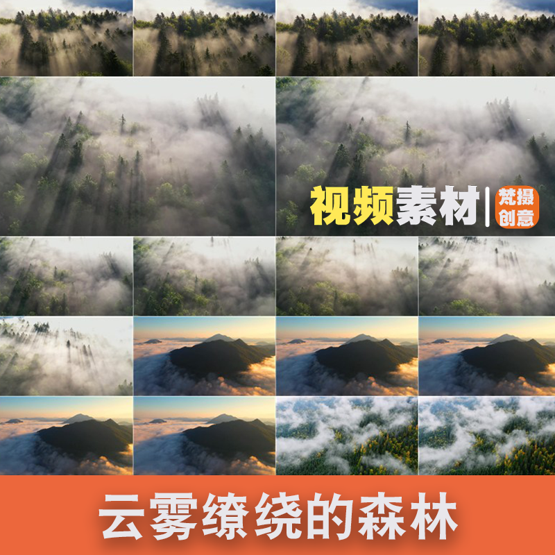 早晨云雾缭绕的森林展现自然的神秘与美丽视频素材