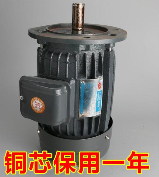 YT801-2 A-AC 0.75KW 12极三相异步电动机卧式电机立式马达-封面