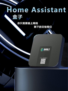 homeassitant盒子米家涂鸦小燕homekit多平台网关智趣盒子接入ha