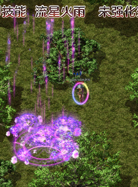 传奇法师补丁 紫色火雨 怪物补丁 道士群毒飓风破 战士开天烈火