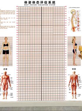 体态评估表墙贴健身房体测网格纸瑜伽馆私教姿势体位背景墙体姿图