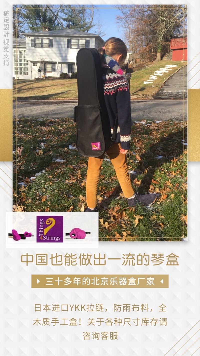 出口美国things 4 strings的高级手工木制小提琴盒1/8--3/4尺寸