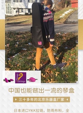 出口美国Things 4 Strings的高级手工木制小提琴盒1/8--3/4尺寸