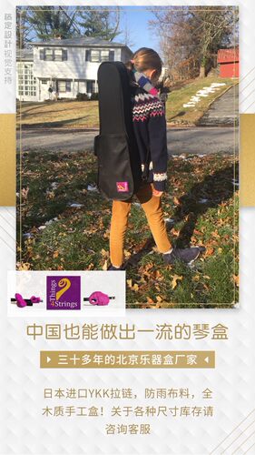 出口美国Things 4 Strings的高级手工木制小提琴盒1/8--3/4尺寸