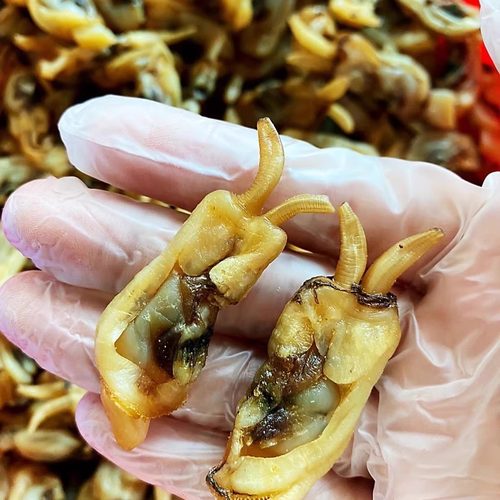 500g无沙泉州福建特产蛏干