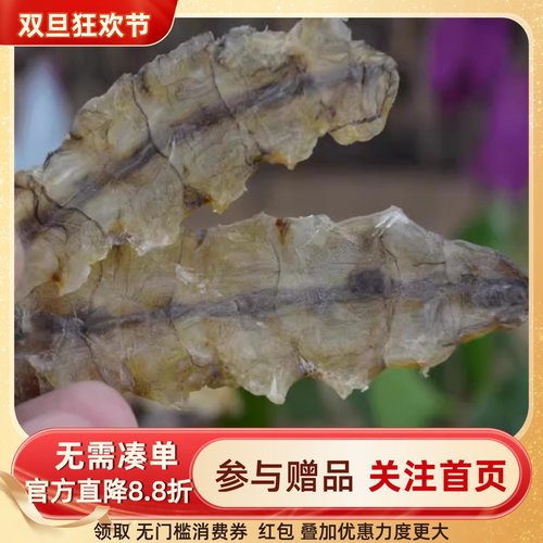 水产皮皮虾活鲜活螳螂虾新鲜海鲜