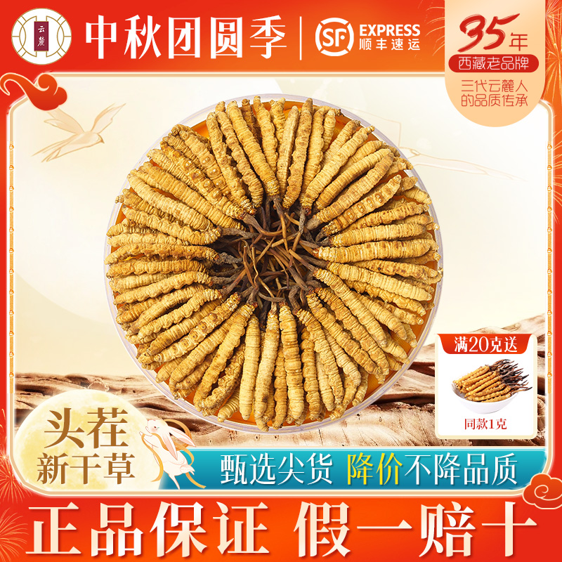 云麓新鲜冬虫夏草礼盒装
