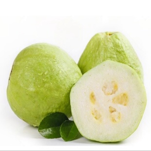 249g 广西奶油芭乐果王 单果重180g