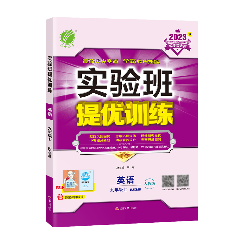 实验班提优训练九年级英语