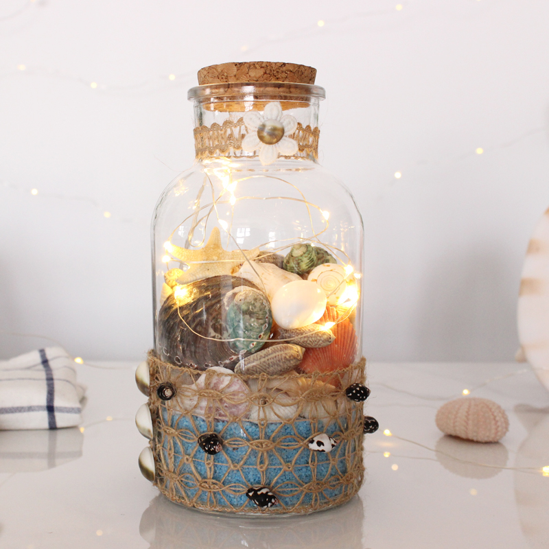 手工创意海洋生物标本摆件