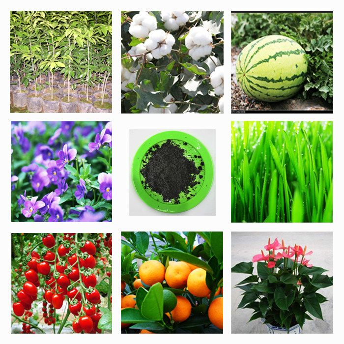 Organic fertilizers Compound fertilizer Vegetables flowers and plants Organic Fertilizer Fruit tree General type Fertilizer Fertilizers Fertilizer Biological bacteriain the Flower delivery/Flowers simulation/Plants gardening , Gardening supplies , Gardening Fertilizer/Nutrient/Nutrient solution  category - from Buy2taobao.com to provide professional Taobao agent buy service