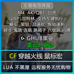 CF鼠标宏数据USP炼狱宏逻辑G系列G102G304G502文件雷云3穿越火线