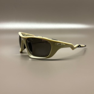 外贸Lateralis复古户外运动偏光太阳镜防紫外线风镜墨镜