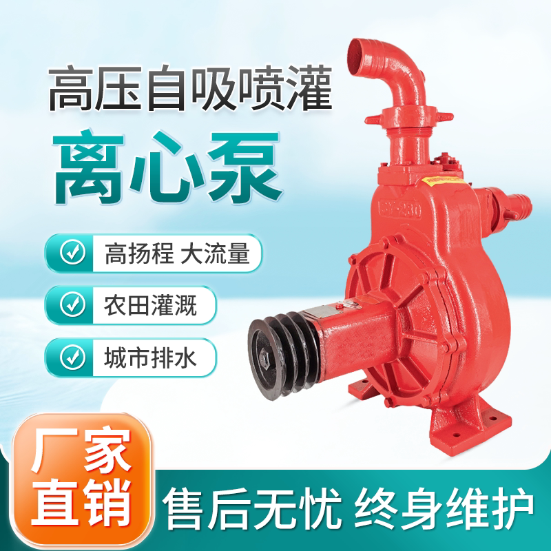 创民葫芦泵高压自吸喷灌离心泵图片