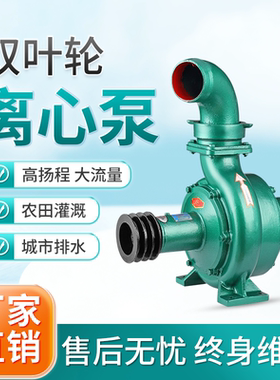 双叶轮离心农用灌溉柴油机抽水泵